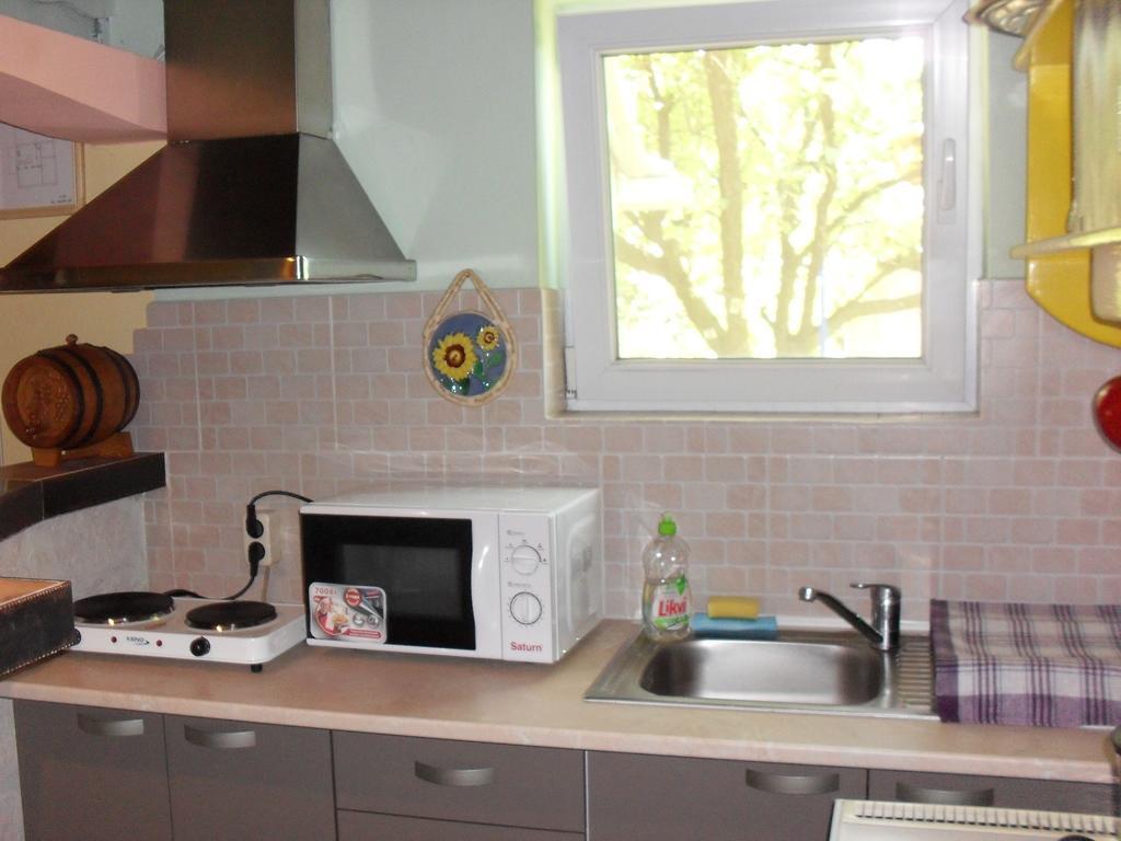 Villa Anna Palic Room photo